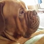 Myra Meyers - @myrameyers - Instagram