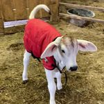 Myra Neal Morrison - @myranealmorrison - Instagram