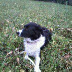 Martin - @myrapower123 - Instagram