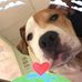 Myra Price - Facebook