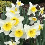 Myra Purcell - @mypurcell - Instagram