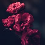 Myra Rivero - Facebook