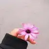 Rym Rivera - @myra.rivero43 - TikTok