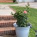 Mary Satterfield - Facebook
