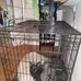 Myra Sims Sims - Facebook