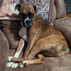 Mary Stinson - Facebook