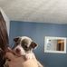Myra Varner - Facebook