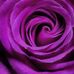 Myra Varner Lehman - Facebook