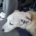 Myranda Weiner - Facebook