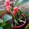 Myriam Rangel - @myriam.rangel70 - TikTok