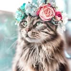 Myriam Rincon - Facebook