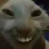 Myrna Fleming - @sopkk.10 - TikTok