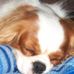 Myrna Tuttle - Facebook