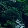 Myrna Tuttle - @myrnatuttle - TikTok