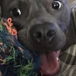 Myron Brooks - @myron.brooks - Instagram