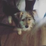 Myron Evans - @myrone459 - Instagram