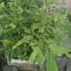 Myron Jordan - @myron.jordan1 - TikTok
