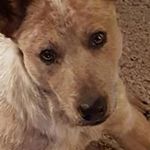 Myron Mast - @mastmyron - Instagram