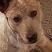 Myron Mast - Facebook