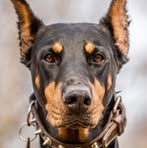 Myron L. Mayberry - Facebook