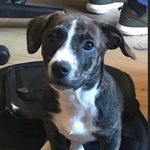 Myron Miller - @gaymyron - Instagram
