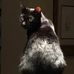Myron Stokes - Facebook