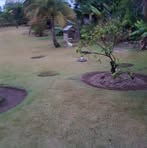 Myron Watson - Facebook