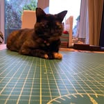 Emma - @myrtleberrymakes - Instagram