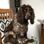 Myrtle Berry - Facebook