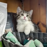 @myrtleberrypie - Instagram