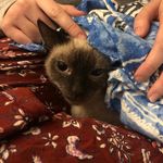 Myrtle Rainbow Cunningham - @myrtle_blanket_queen - Instagram