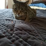 Marina Traini Bunch - @myrtleford_massage_clinic - Instagram