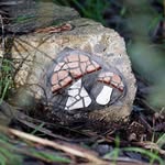 @myrtlefordmosaictrail - Instagram