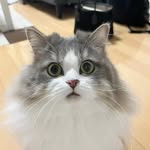Myrtle Imelda Hale - @myrtleimeldahale - Instagram