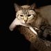Mary Ann Corley - Facebook