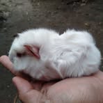 Myrtle Lopez - Facebook