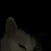 Myrtle Lopez - @myrtlelopez3383 - TikTok