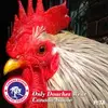 myrtlemaynard - @myrtlemaynard - TikTok