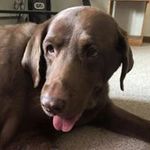 Myrtle Spencer - @myrtle.spencer - Instagram