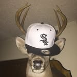 Myrtle_Street_Godfather - @unc_da_godfather_70 - Instagram