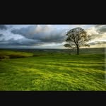 MyrtleVernon - @myrtlevernon7694 - Instagram