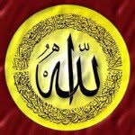 Mohamed Nabeel Awad - @mnabeel9 - Instagram