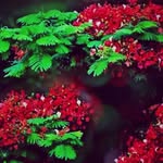 nabil akram - @nabilakram30 - Instagram