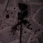 Nabil AlAli - @nabilalali804 - Instagram