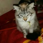 nabil alama - @nabilotazi88 - Instagram