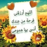 Nabil Amara - @nabil.amara.39794 - Instagram