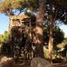 Nabil Aridi - Facebook