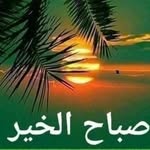 Nabil Badran - @badran6884 - Instagram