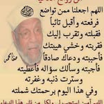 Nabil Badran - @nbadran515 - Instagram