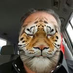 Nabil H Badran - @mr_nabil12 - Instagram